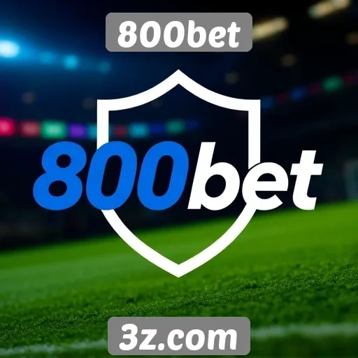 Segurança e regulamentação no ambiente da 800bet